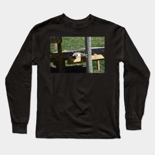 Cougar Cub Long Sleeve T-Shirt